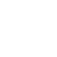 Lost Mary Logo