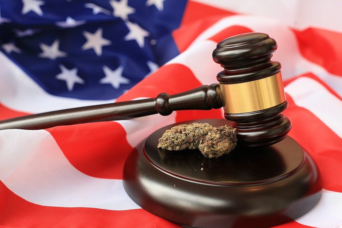 Seven U.S. States Likely to Legalize Cannabis in 2024